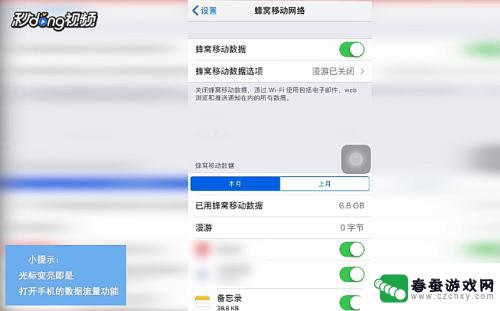 苹果手机怎么把流量 怎样在苹果手机上开启数据流量