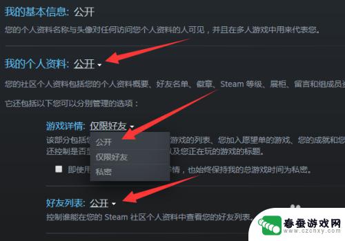 steam页面怎么公开 Steam隐私设置如何公开