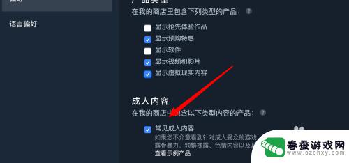 steam在哪看审查设置 如何在Steam上设置允许显示成人游戏