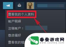 steam资料背景怎么换 Steam个人资料页怎么换背景