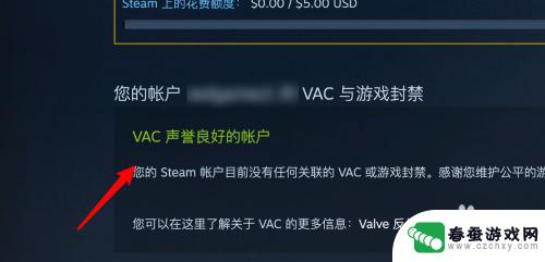 steam声誉 Steam如何查看自己的VAC声誉情况