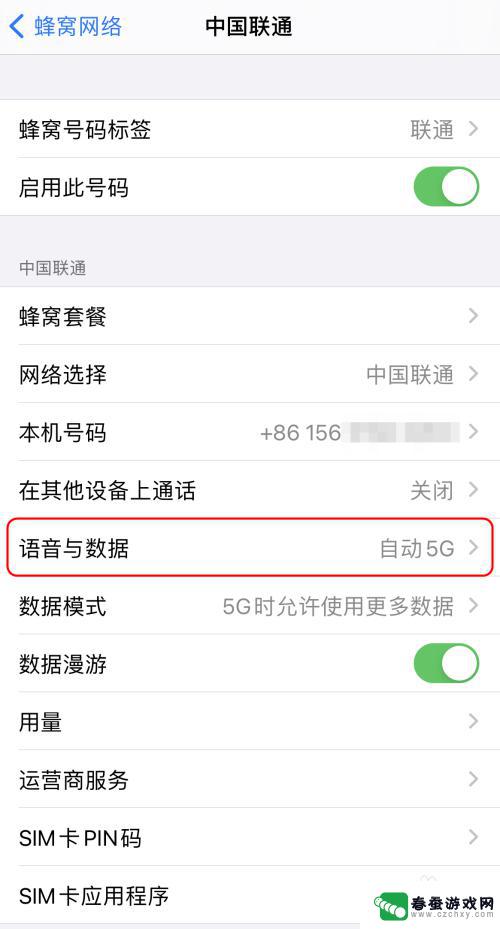 苹果手机如何开启5gsa 如何在iPhone上启用5G网络SA选项