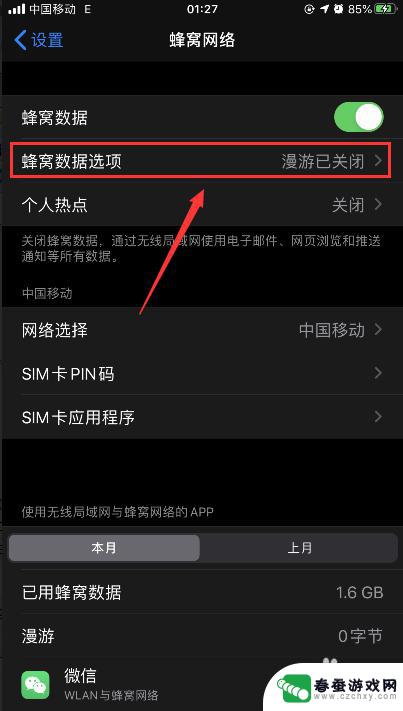 苹果手机怎么设置4g功能 怎样把iPhone苹果手机的LTE/VoLTE改成4G网络