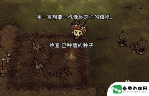 哪种 steam是正版 饥荒steam种地攻略