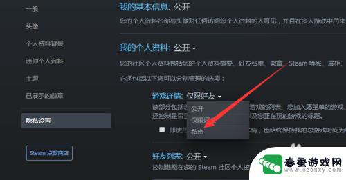 steam怎么不被好友看到自己玩游戏 steam怎样让好友看不到游戏记录